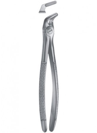 Extracting Forceps